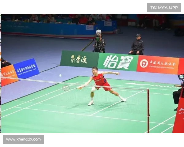 羽毛球的国际比赛