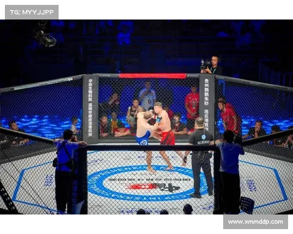 搏击赛事在中国前景,中国搏击市场