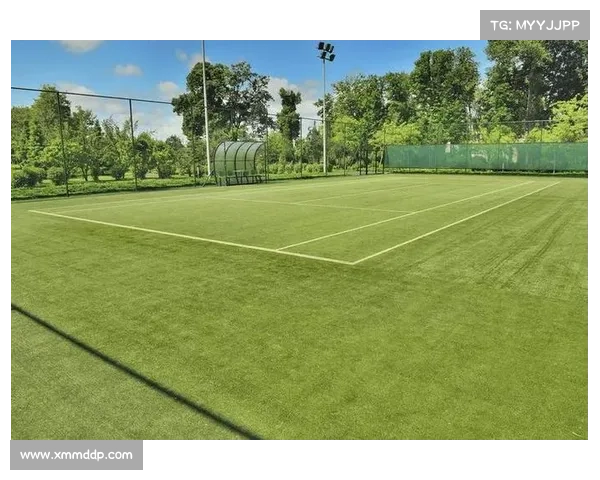 网球草地赛事特点