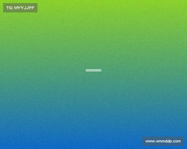 数字英雄决战西子湖畔